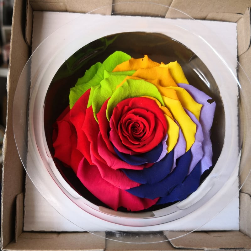 Trandafir din flori veșnice – Li Jin Yongsheng Flower, 1 floare în cutie, Material: flori veșnice; Varietate: Trandafir; Clasă: B