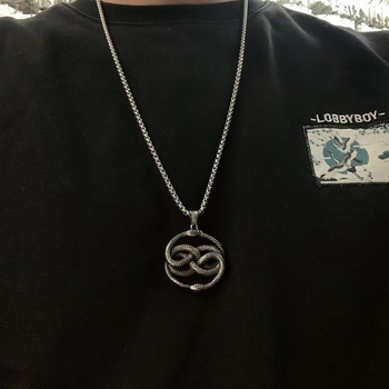 Ogrlica s privjeskom zmije, titan čelik, retro-punk dizajn, polirani završetak, unisex