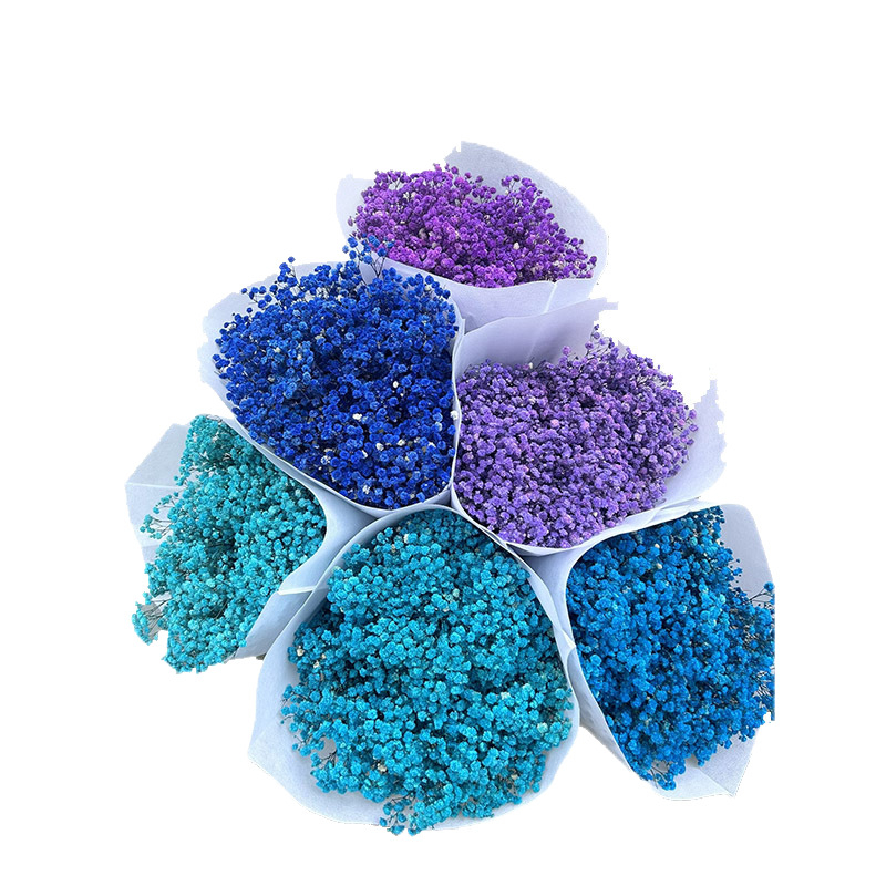 Nothing Brand Gypsophila Veșnică – Flori uscate Cer Înstelat