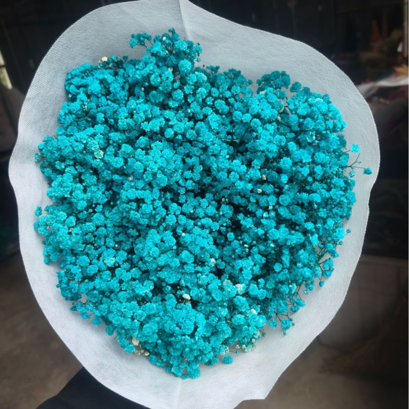 Nothing Brand Gypsophila Veșnică – Flori uscate Cer Înstelat