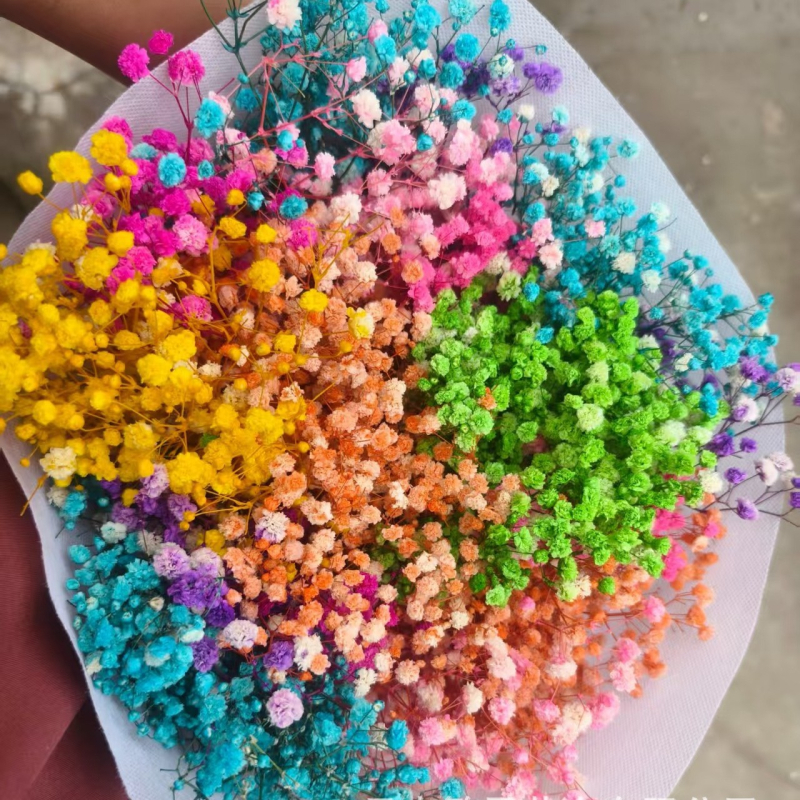 Nothing Brand Gypsophila Veșnică – Flori uscate Cer Înstelat