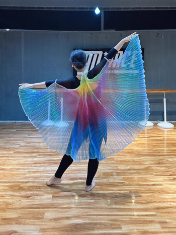 Odrasli kostim za belly dance s krilima i ručnim kukom (Wy006 • proljeće 2022 • Marka: Excellent core • Naziv tkanine: Pingqicai • Glavni materijal: Poliester)