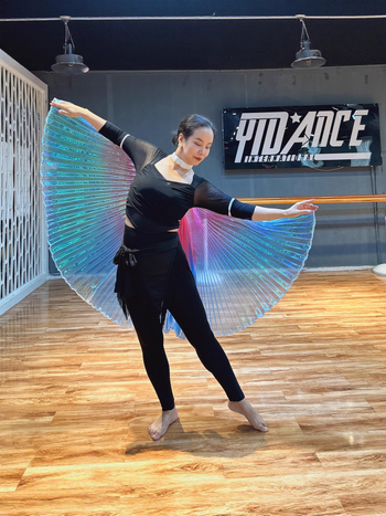 Odrasli kostim za belly dance s krilima i ručnim kukom (Wy006 • proljeće 2022 • Marka: Excellent core • Naziv tkanine: Pingqicai • Glavni materijal: Poliester)