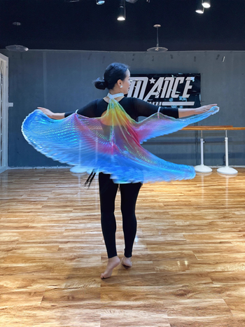 Odrasli kostim za belly dance s krilima i ručnim kukom (Wy006 • proljeće 2022 • Marka: Excellent core • Naziv tkanine: Pingqicai • Glavni materijal: Poliester)