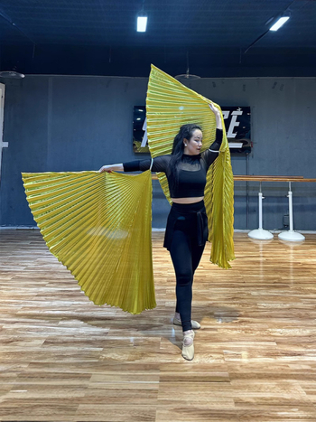 Odrasli kostim za ples trbuha s krilima na leđima i rekvizitom za pozornicu, 360° rekvizit za ruku (Brand: Priority; Prilika: Belly dance; Materijal: poliester; Glavni sastav materijala: 95%+; Sezona: proljeće 2025)