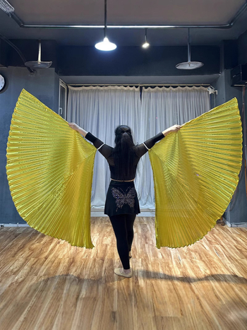 Odrasli kostim za ples trbuha s krilima na leđima i rekvizitom za pozornicu, 360° rekvizit za ruku (Brand: Priority; Prilika: Belly dance; Materijal: poliester; Glavni sastav materijala: 95%+; Sezona: proljeće 2025)