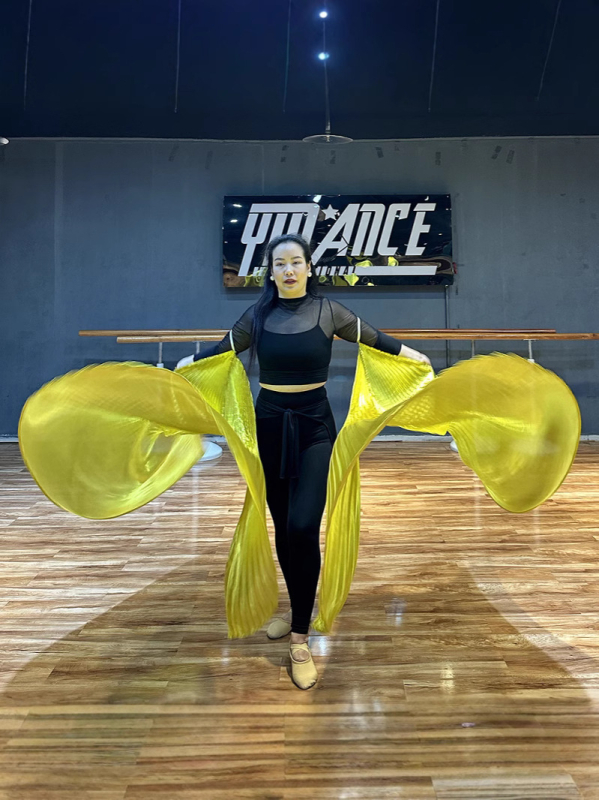 Odrasli kostim za ples trbuha s krilima na leđima i rekvizitom za pozornicu, 360° rekvizit za ruku (Brand: Priority; Prilika: Belly dance; Materijal: poliester; Glavni sastav materijala: 95%+; Sezona: proljeće 2025)