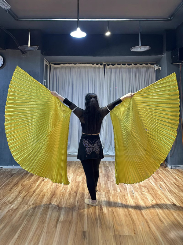 Odrasli kostim za ples trbuha s krilima na leđima i rekvizitom za pozornicu, 360° rekvizit za ruku (Brand: Priority; Prilika: Belly dance; Materijal: poliester; Glavni sastav materijala: 95%+; Sezona: proljeće 2025)