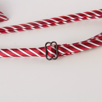 Papion cu floare de guler, filament de poliester, stil feminin/admin, Lan Xin Yun, pentru femei