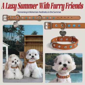 Fuli pet Desert Knight Δερμάτινο περιλαίμιο σκύλου — κατάλληλο για όλους τους σκύλους