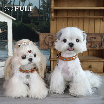 Fuli pet Desert Knight Δερμάτινο περιλαίμιο σκύλου — κατάλληλο για όλους τους σκύλους