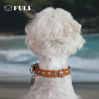 Fuli pet Desert Knight Δερμάτινο περιλαίμιο σκύλου — κατάλληλο για όλους τους σκύλους