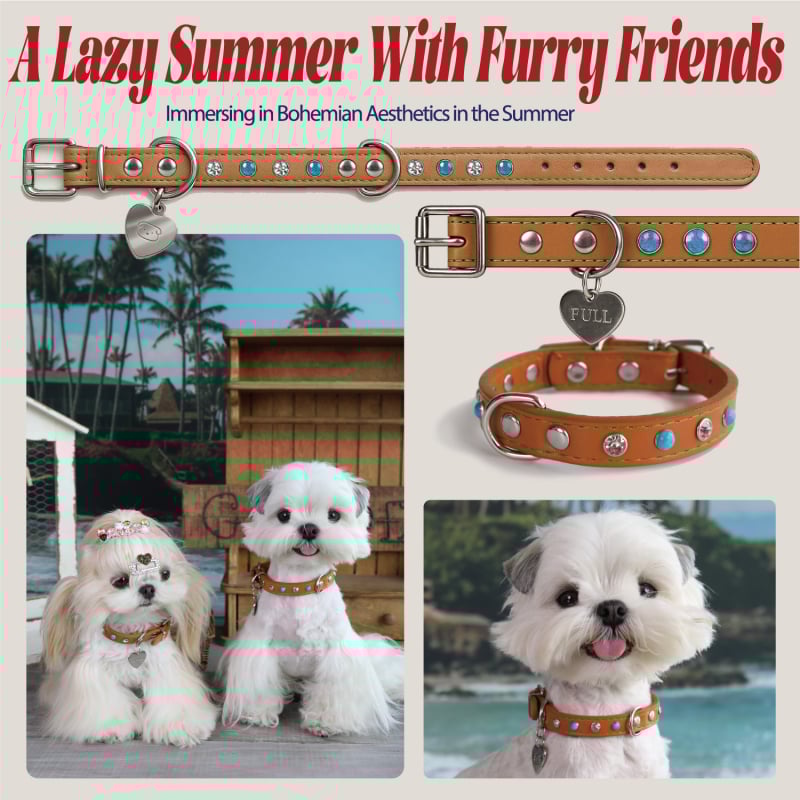 Fuli pet Desert Knight Δερμάτινο περιλαίμιο σκύλου — κατάλληλο για όλους τους σκύλους