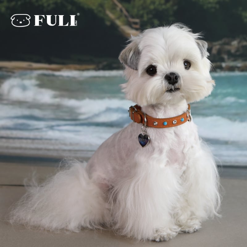 Fuli pet Desert Knight Δερμάτινο περιλαίμιο σκύλου — κατάλληλο για όλους τους σκύλους