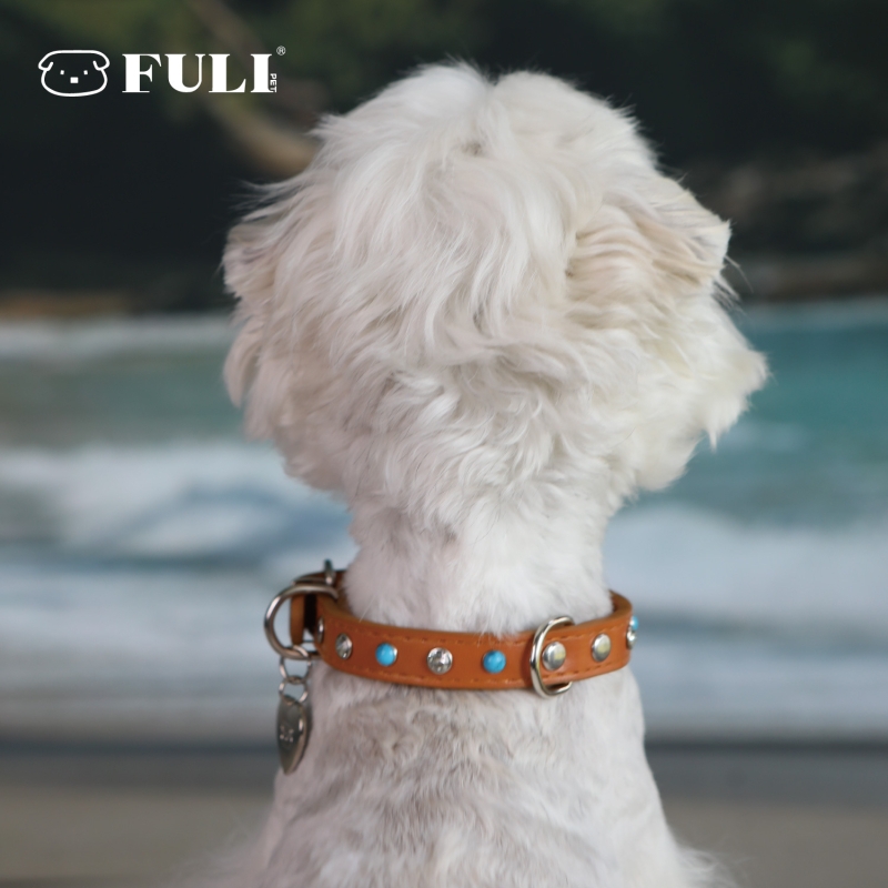 Fuli pet Desert Knight Δερμάτινο περιλαίμιο σκύλου — κατάλληλο για όλους τους σκύλους