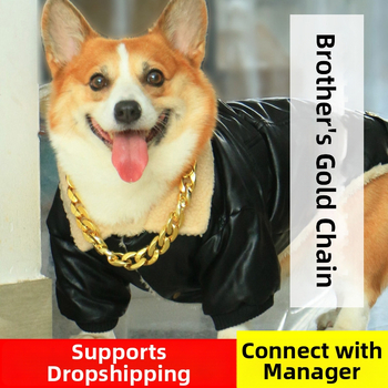 Naminio gyvūno antkaklis – Vienodo rašto; Medžiaga: Plastikas; Universalus naudojimas; Neimportuotas; IP patvirtinimas: Ne