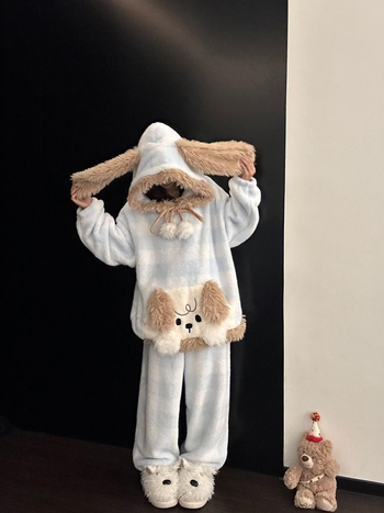 Moterų dviejų dalių pižama su gobtuvu, fliso pamušalas, koralinis velūras audinys, animacinis raštas