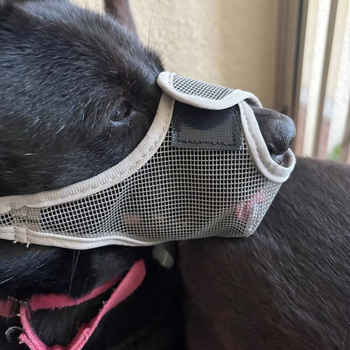 Botniță de câine, plasă respirabilă din nylon, design anti-inghițire și anti-strângere, cutie cu 400 bucăți