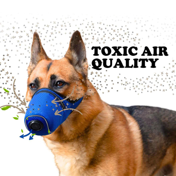 Mocico Mască de purificare a gurii pentru animale de companie, reutilizabilă, respirator pentru câine, poliester, pachet de 50 bucăți