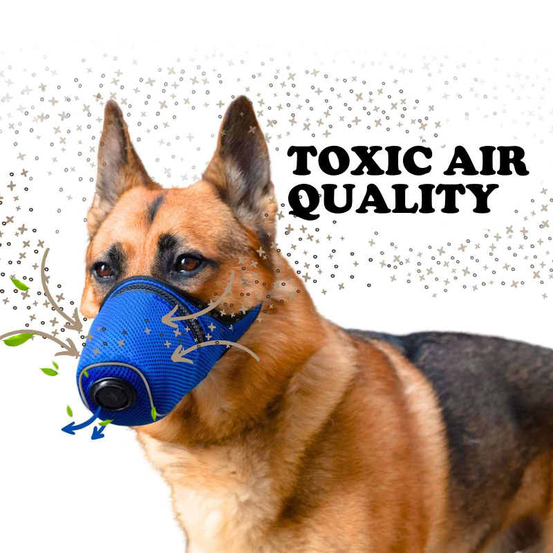 Mocico Mască de purificare a gurii pentru animale de companie, reutilizabilă, respirator pentru câine, poliester, pachet de 50 bucăți