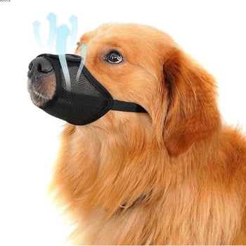 Botniță de câine din plastic - anti- mușcături, anti-lătrăt, anti-ingestie - cutie cu 200 buc