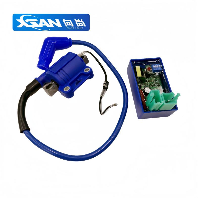 Motocikl DC zapalni modul i zapalna cijev CG model XS12-11, 125-150cc, Xsan