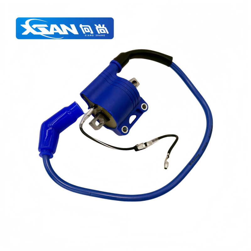 Motocikl DC zapalni modul i zapalna cijev CG model XS12-11, 125-150cc, Xsan