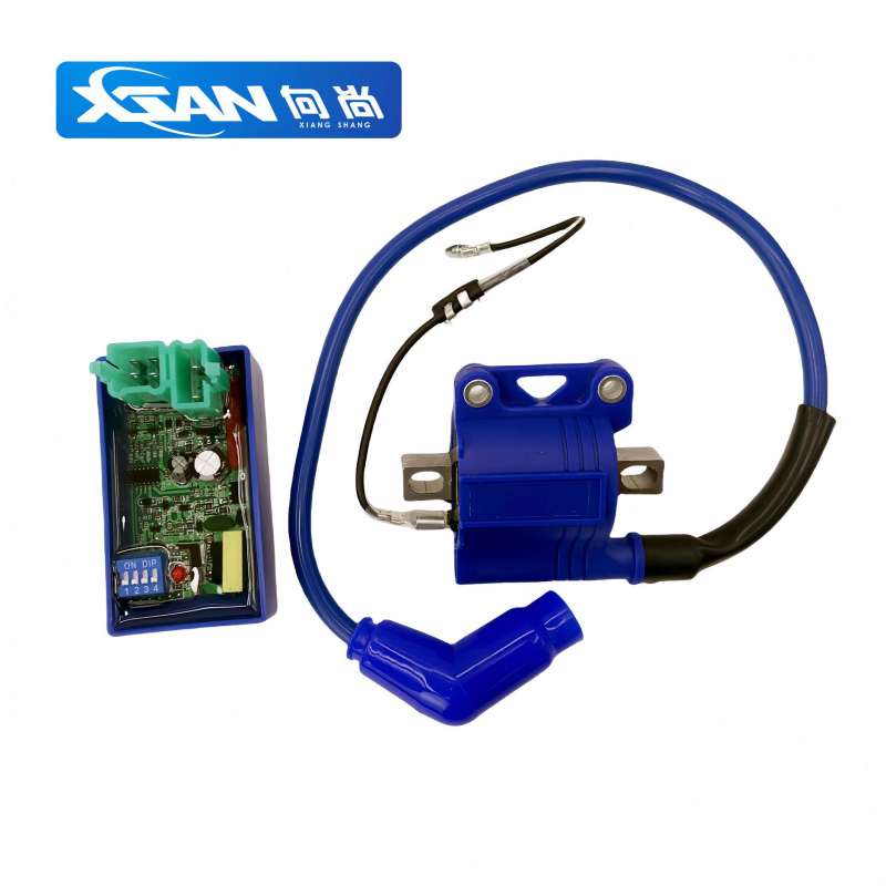 Motocikl DC zapalni modul i zapalna cijev CG model XS12-11, 125-150cc, Xsan