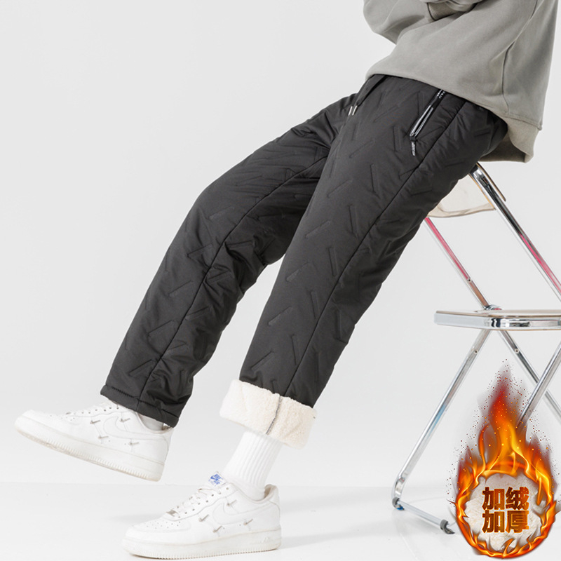 Muške hlače s fleec-podstavom, ravnog kroja, zimske; punilo: imitacija svile i pamuka; tkanina: poliester; podstava: 100% poliester