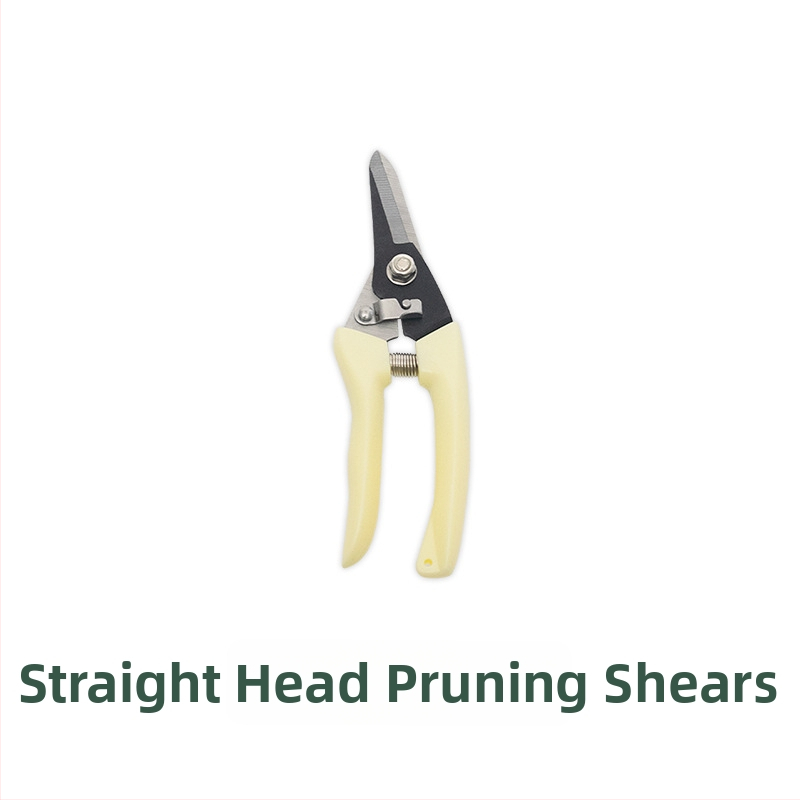 Комплект градински инструменти от неръждаема стомана, 5 части | PP + неръждаема стомана + Oxford плат | за градина и плаж