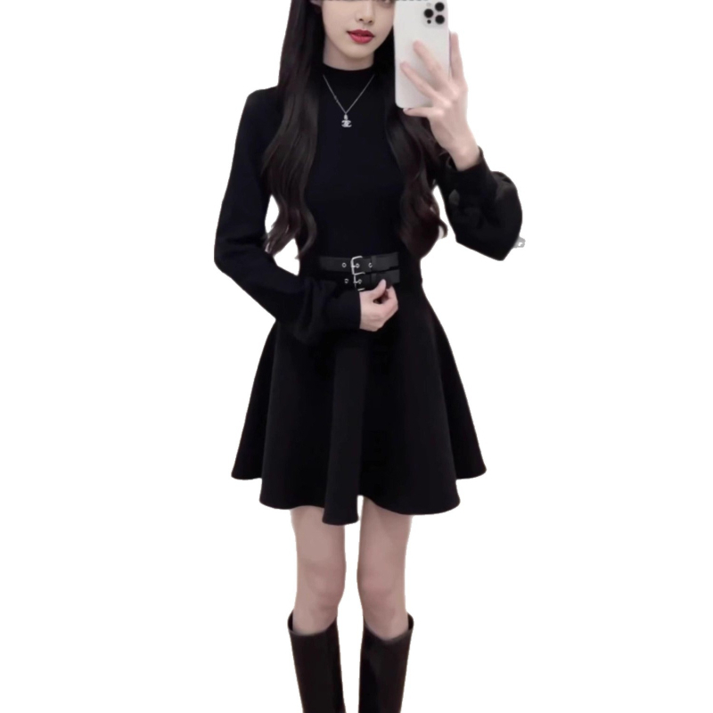 Rochie - țesătură poliester; model solid; siluetă în formă de A; guler semi-turtleneck; mâneci lungi