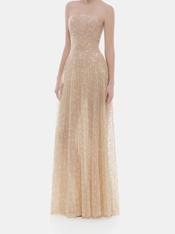 Duga haljina od rastezljivog poliestera s pailettama i čipkom, bez naramenica, elastičan struk, pogodna za zabave i pozornicu
