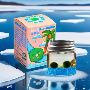 Bilă de alge Marimo, din sticlă într-un recipient ecologic — mini peisaj de birou, design original, personalizabil