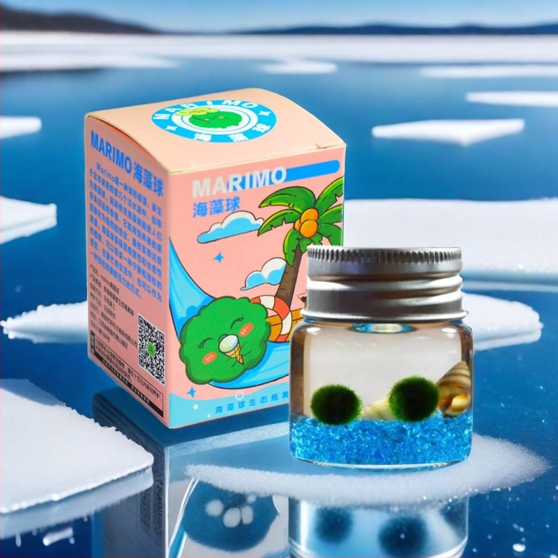 Bilă de alge Marimo, din sticlă într-un recipient ecologic — mini peisaj de birou, design original, personalizabil