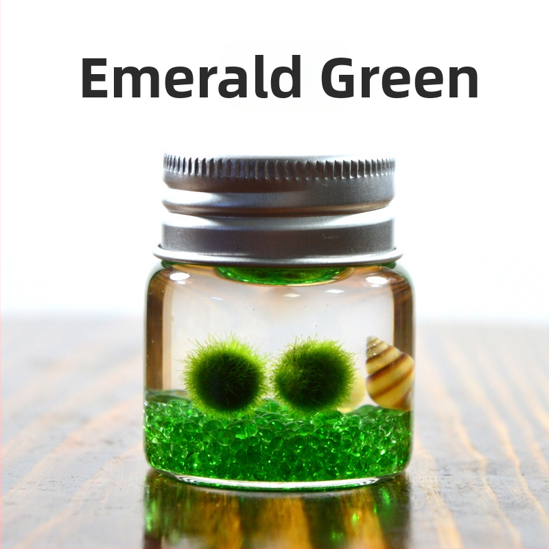 Bilă de alge Marimo, din sticlă într-un recipient ecologic — mini peisaj de birou, design original, personalizabil