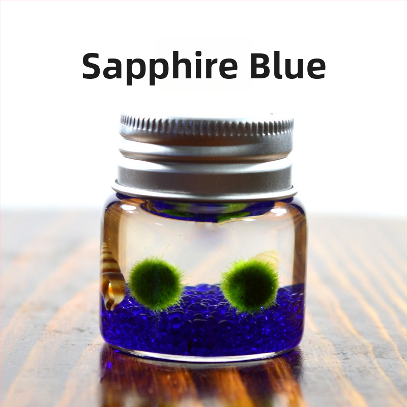 Bilă de alge Marimo, din sticlă într-un recipient ecologic — mini peisaj de birou, design original, personalizabil