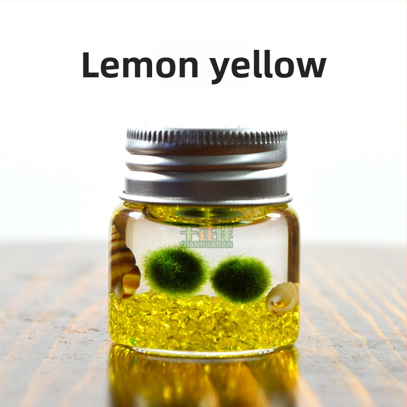 Bilă de alge Marimo, din sticlă într-un recipient ecologic — mini peisaj de birou, design original, personalizabil