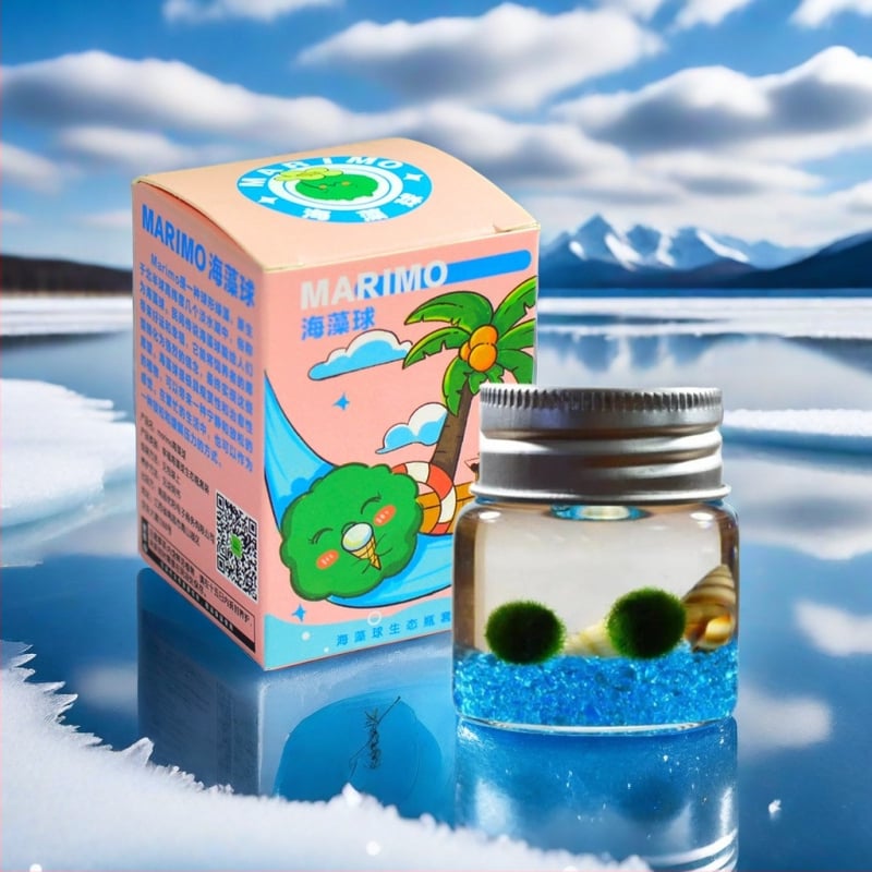 Bilă de alge Marimo, din sticlă într-un recipient ecologic — mini peisaj de birou, design original, personalizabil