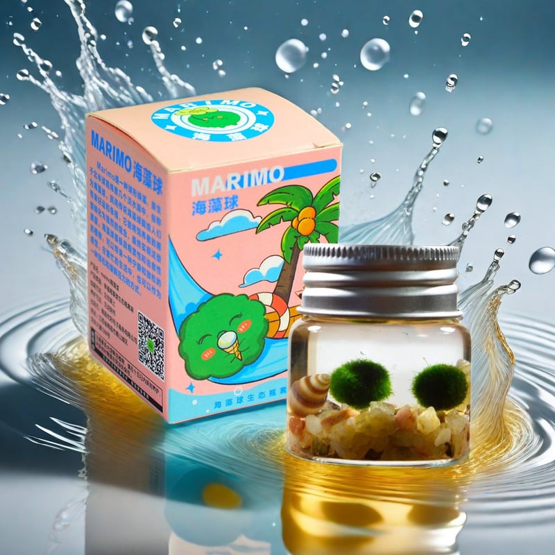 Bilă de alge Marimo, din sticlă într-un recipient ecologic — mini peisaj de birou, design original, personalizabil