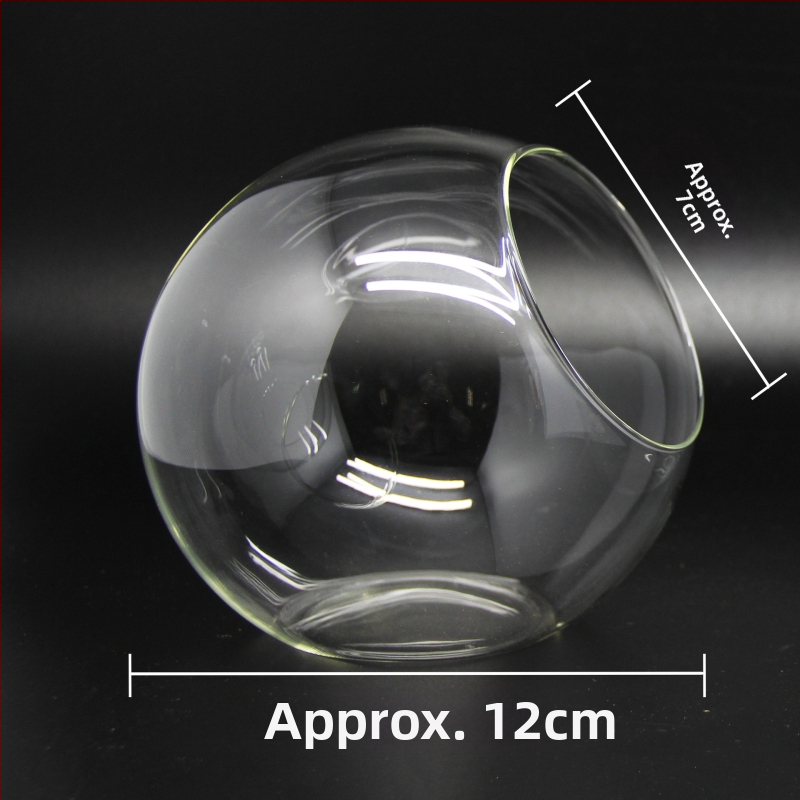 Mikro ainava stikla lodītē sukulentiem – vāze ar slīpi atvērumu, borosilikāta stikls