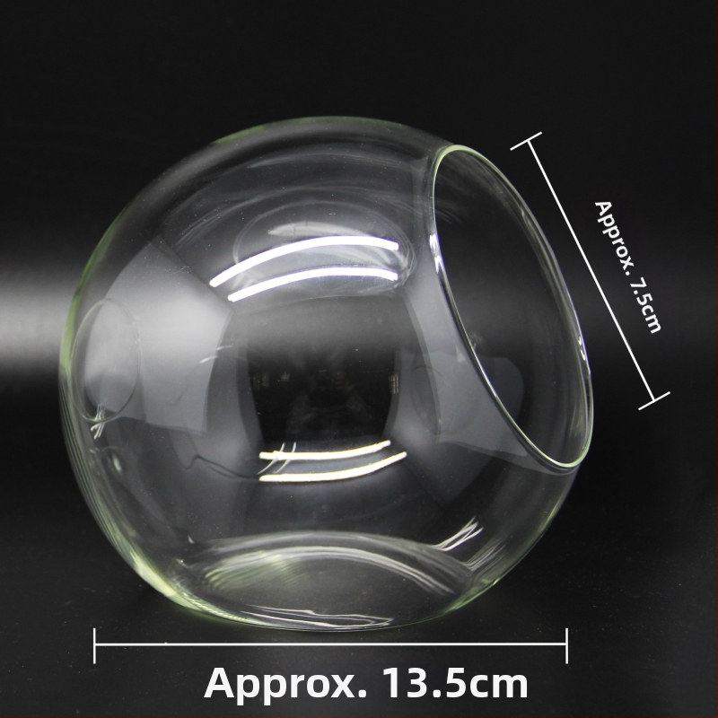 Mikro ainava stikla lodītē sukulentiem – vāze ar slīpi atvērumu, borosilikāta stikls