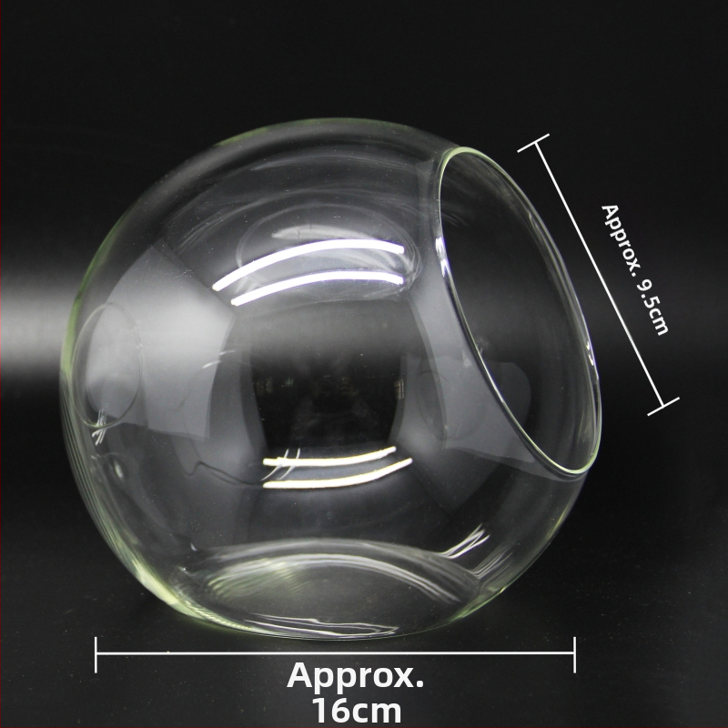 Mikro ainava stikla lodītē sukulentiem – vāze ar slīpi atvērumu, borosilikāta stikls