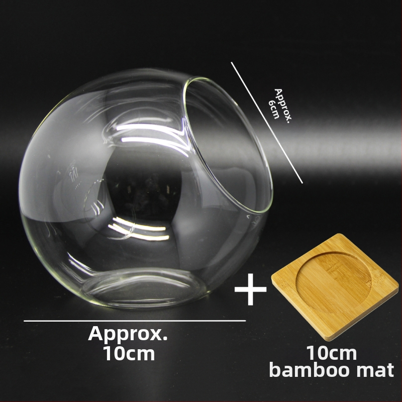 Mikro ainava stikla lodītē sukulentiem – vāze ar slīpi atvērumu, borosilikāta stikls