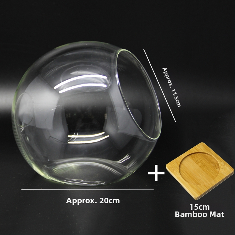 Mikro ainava stikla lodītē sukulentiem – vāze ar slīpi atvērumu, borosilikāta stikls