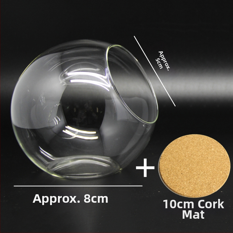 Mikro ainava stikla lodītē sukulentiem – vāze ar slīpi atvērumu, borosilikāta stikls
