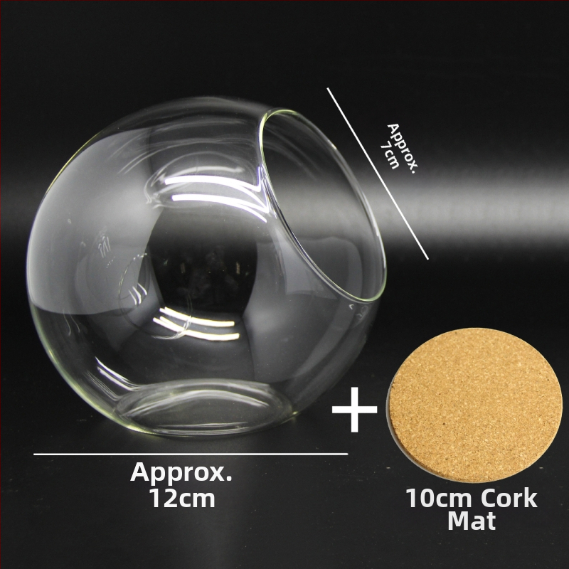 Mikro ainava stikla lodītē sukulentiem – vāze ar slīpi atvērumu, borosilikāta stikls
