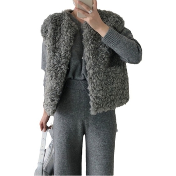 Γιλέκο από συνθετικό γούνα, κορεατικό chic φθινοπωρινής-χειμερινής, γαλλικό στυλ, κοντή γραμμή, μονόχρωμο, γυναικείο