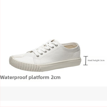 Naise kanvaskingad, madal ülaosa, kummist tald, igapäevane stiil, elastne sulgemine