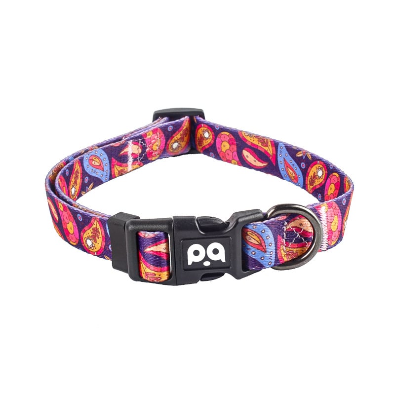 Poliesterinė šuns apykaklė ir harnas su reguliuojamu pavadėliu, patogu ir minkšta, visoms metų laikams