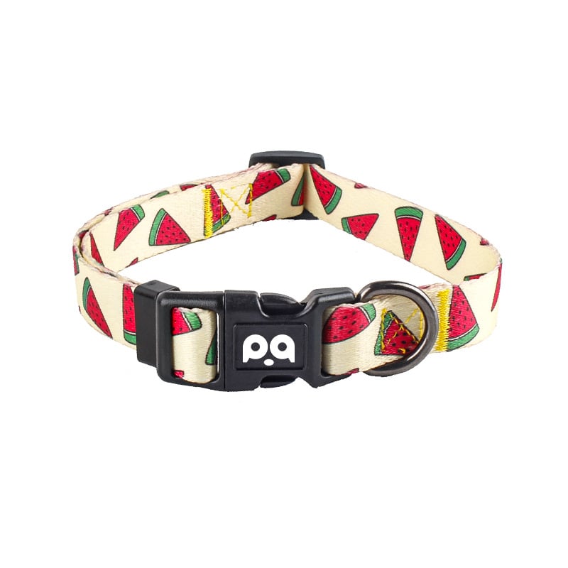 Poliesterinė šuns apykaklė ir harnas su reguliuojamu pavadėliu, patogu ir minkšta, visoms metų laikams